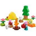 LEGO 10452 DUPLO Peppa Pig Camping Trip