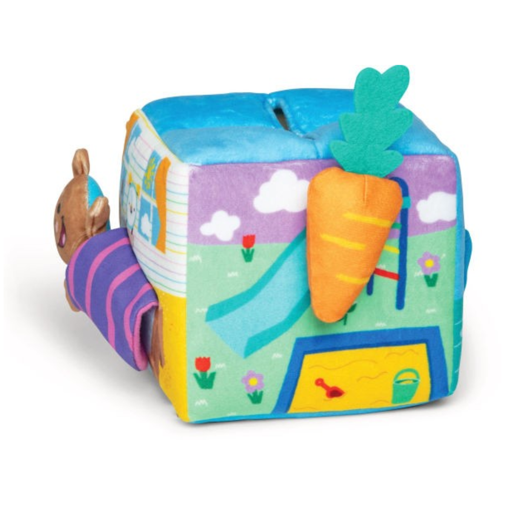 Ms Rachel Surprise Learning Box