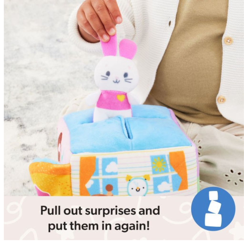 Ms Rachel Surprise Learning Box