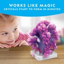 National Geographic Crystal Reef Coral Growing Lab