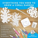 National Geographic Crystal Reef Coral Growing Lab