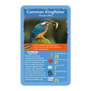 Top Trumps Birds of the World