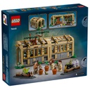 LEGO 76445 Harry Potter Hogwarts Castle Herbology Class