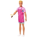 Barbie Mysteries Beach Detectives Ken Doll