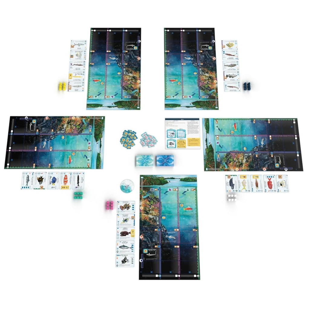 Finspan Board Game