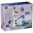LEGO 43287 Disney Frozen Olaf and Bruni’s Picnic Fun