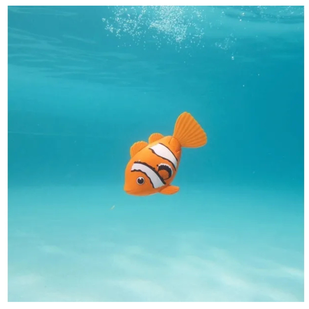 Swimways Rainbow Reef Clown Fish