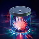 4M Crystal Growing Colour Changing Display Case