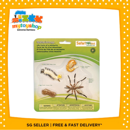 [5936626,609366662619] Life Cycle of a Mosquito