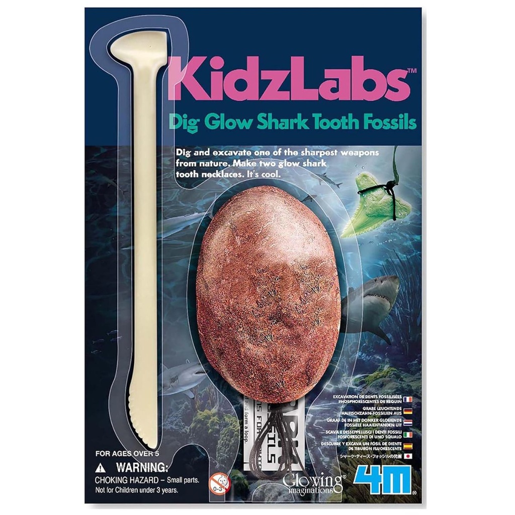 Dig A Glow Shark Tooth Fossil