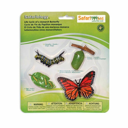[095866622602] Life Cycle of A Monarch Butterfly