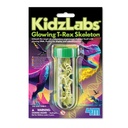 4M Kidzlabs Glowing T-rex Skeleton