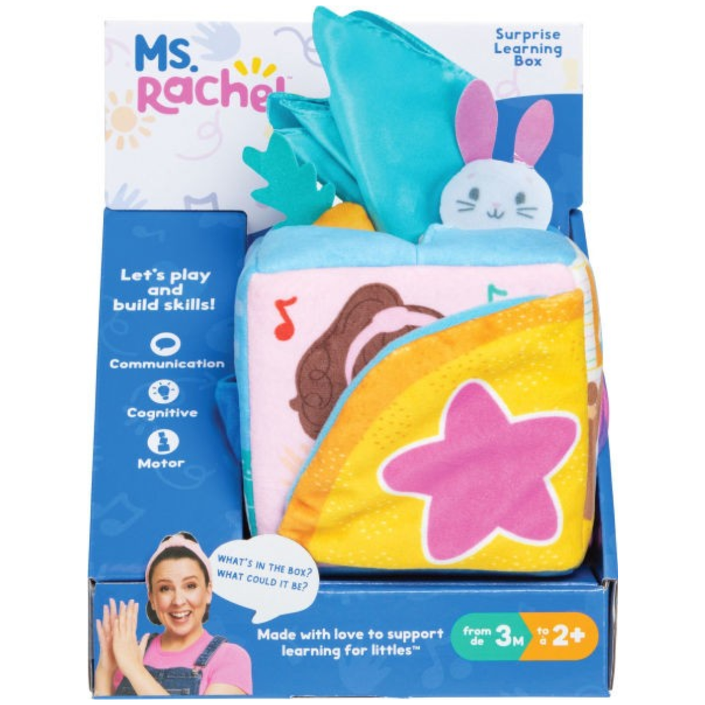 Ms Rachel Surprise Learning Box