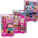 Barbie  Careers  Nurturing Playset Asst