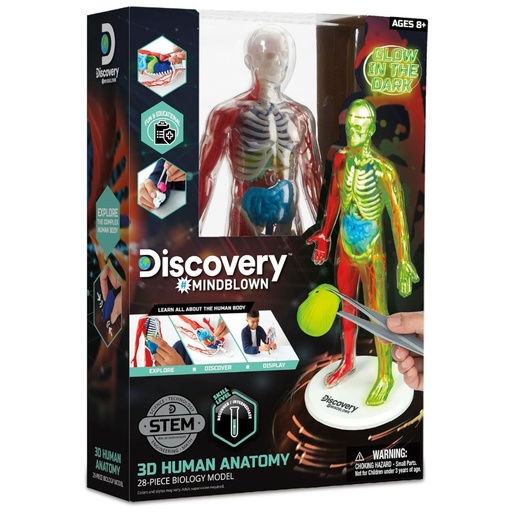 [4894088067385] Discovery Mindblown 3D Human Anatomy Kit