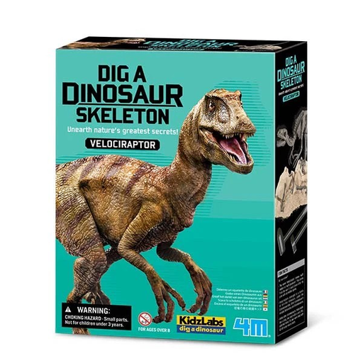 [4893156132345] 4M Dig a Dinosaur Skeleton Velociraptor