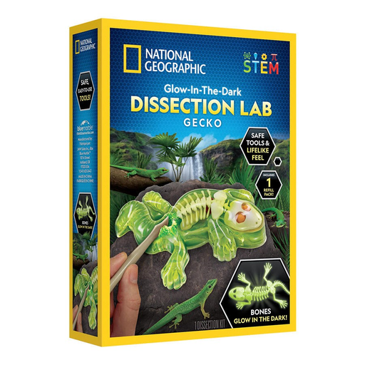 [810070623036] National Geographic Gecko Dissection Lab