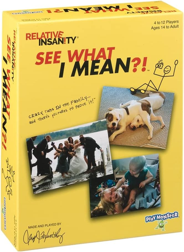 [93514074476] PlayMonster Relative Insanity: See What I Mean?! - Party Game
